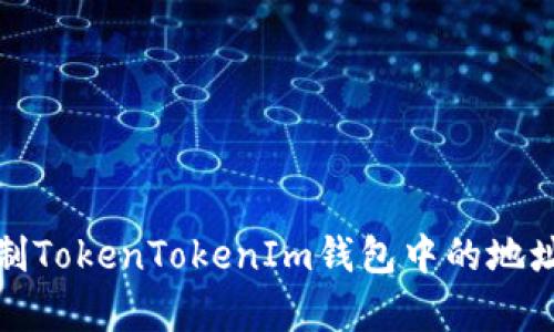 如何复制TokenTokenIm钱包中的地址和密钥