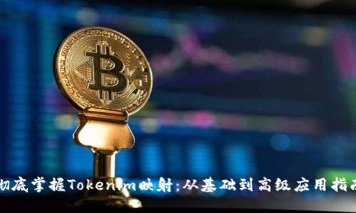 彻底掌握Tokenim映射：从基础到高级应用指南