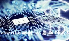 彻底掌握Tokenim映射：从基础到高级应用指南