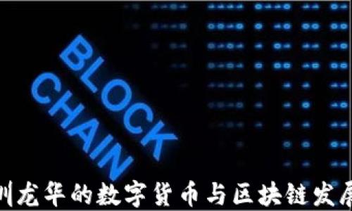 
探索深圳龙华的数字货币与区块链发展新机遇