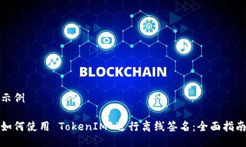示例

如何使用 TokenIM 进行离线签名：全面指南