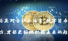   数字货币的实施：全球现状与未来发展趋势 /
