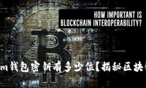 TokenTokenim钱包密钥有多少位？揭秘区块链安全的秘密