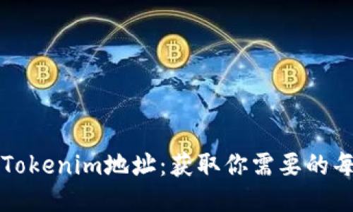 如何查看Tokenim地址：获取你需要的每一步指南