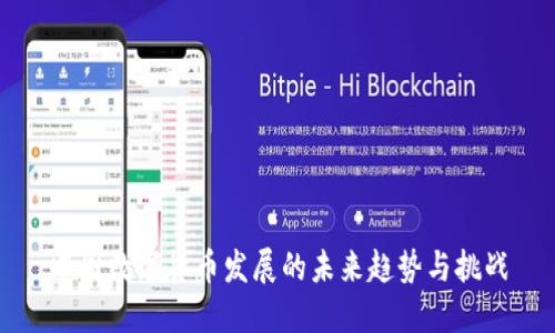 中国数字货币发展的未来趋势与挑战