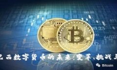 探索巴西数字货币的未来：变革、挑战与机遇