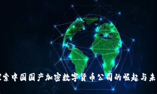 探索中国国产加密数字货币公司的崛起与未来