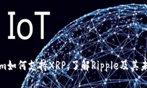 Tokenim如何支持XRP：了解Ripple及其未来潜力