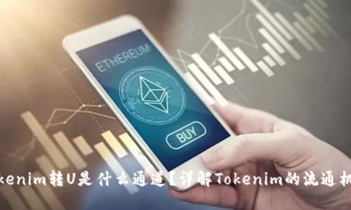 Tokenim转U是什么通道？详解Tokenim的流通机制