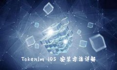 Tokenim iOS 安装方法详解