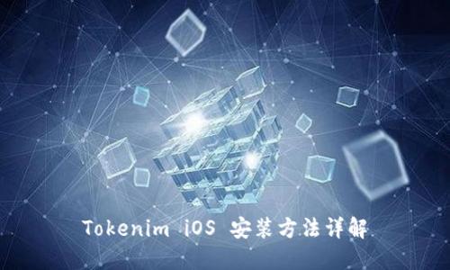 Tokenim iOS 安装方法详解