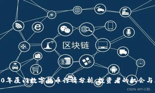 2020年厦门数字货币行情分析：投资者的机会与风险