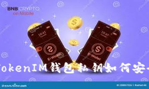 TokenTokenIM钱包私钥如何安全管理？