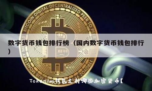 Tokenim钱包支持哪些加密货币？