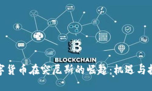 数字货币在突尼斯的崛起：机遇与挑战