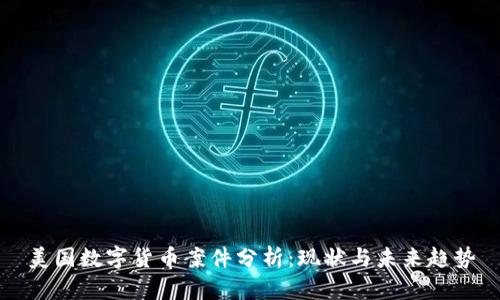 美国数字货币案件分析：现状与未来趋势