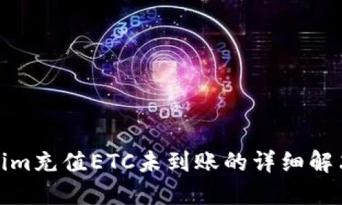 Tokenim充值ETC未到账的详细解决方案