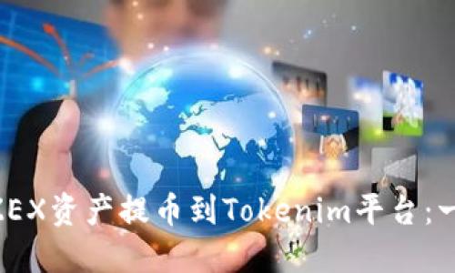 如何将ZZEX资产提币到Tokenim平台：一步步指南