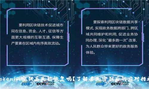 tokenim密钥丢失能恢复吗？了解丢失密钥后的应对措施