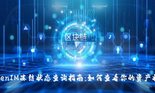 TokenIM冻结状态查询指南：如何查看你的资产状态
