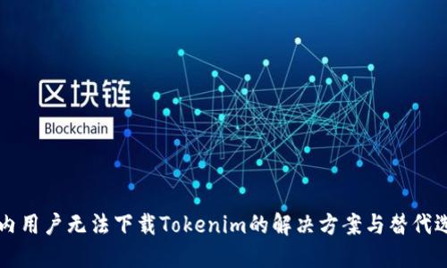 国内用户无法下载Tokenim的解决方案与替代选项