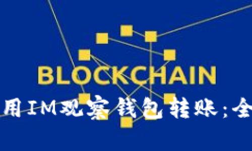 如何使用IM观察钱包转账：全面指南