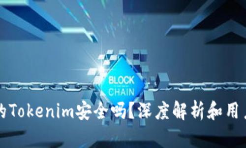 联网的Tokenim安全吗？深度解析和用户指导