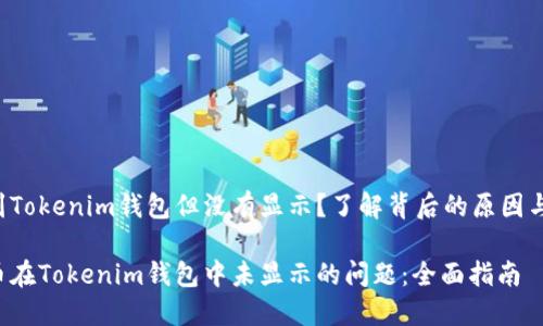 FIL币提到Tokenim钱包但没有显示？了解背后的原因与解决方法

解决FIL币在Tokenim钱包中未显示的问题：全面指南