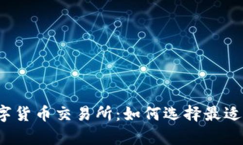 全面解析数字货币交易所：如何选择最适合你的平台？