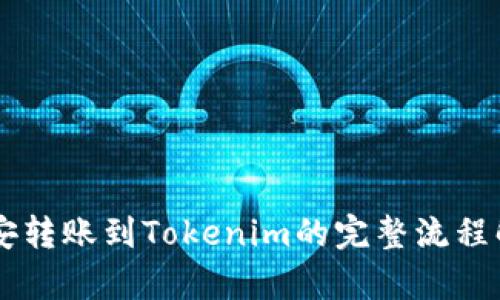 币安转账到Tokenim的完整流程解析