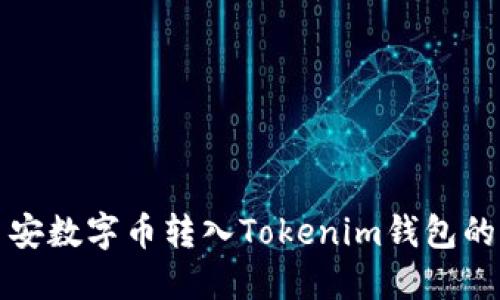 如何将币安数字币转入Tokenim钱包的详细指南