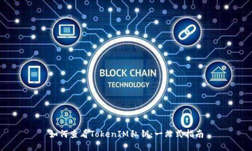 如何查看TokenIM私钥：一站式指南