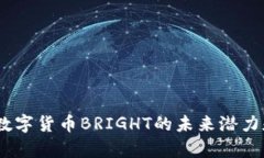 深入分析：数字货币BRIG