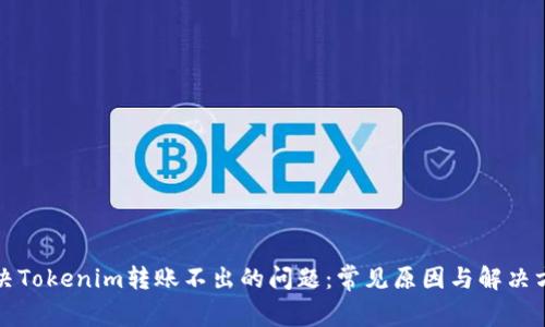 解决Tokenim转账不出的问题：常见原因与解决方案