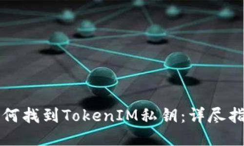 如何找到TokenIM私钥：详尽指南