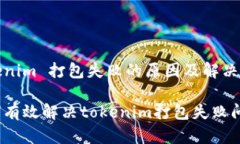 tokenim 打包失败的原因及解