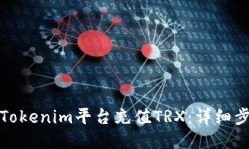 如何使用Tokenim平台充值TRX：详细步骤与技巧