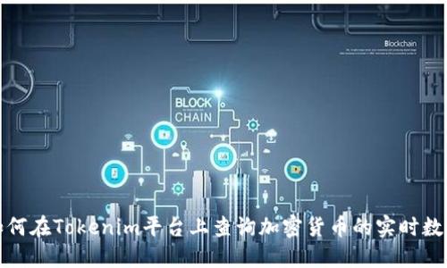如何在Tokenim平台上查询加密货币的实时数据