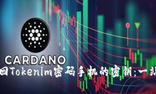 如何找回Tokenim密码手机的密钥：一站式指南