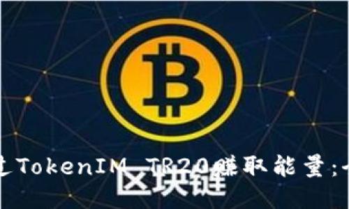 如何通过TokenIM TR20赚取能量：全面指南