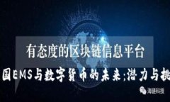 韩国EMS与数字货币的未来