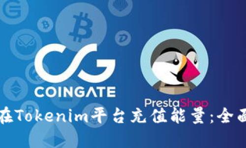 如何在Tokenim平台充值能量：全面指南