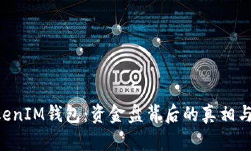 TokenTokenIM钱包：资金盘背后的真相与使用指南