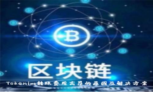 Tokenim转账费用高昂的原因及解决方案