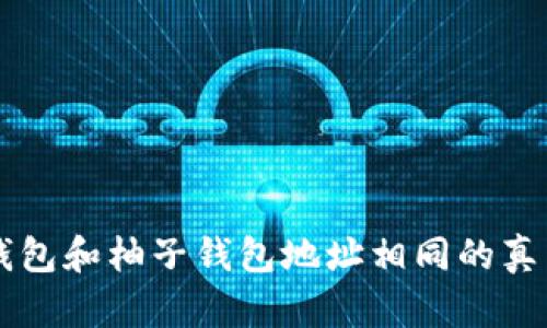 以太坊钱包和柚子钱包地址相同的真相与解析