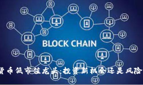 数字货币低市值龙头：投资新机会还是风险重重？