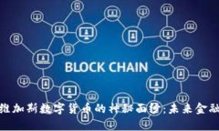 揭开拉斯维加斯数字货币