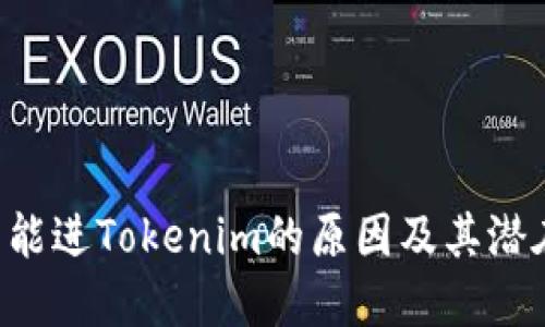 ETC不能进Tokenim的原因及其潜在影响