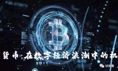 苍南数字货币：在数字经济浪潮中的机遇与挑战