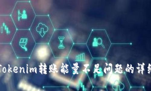 解决Tokenim转账能量不足问题的详细指南